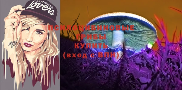 МДПВ Приозерск