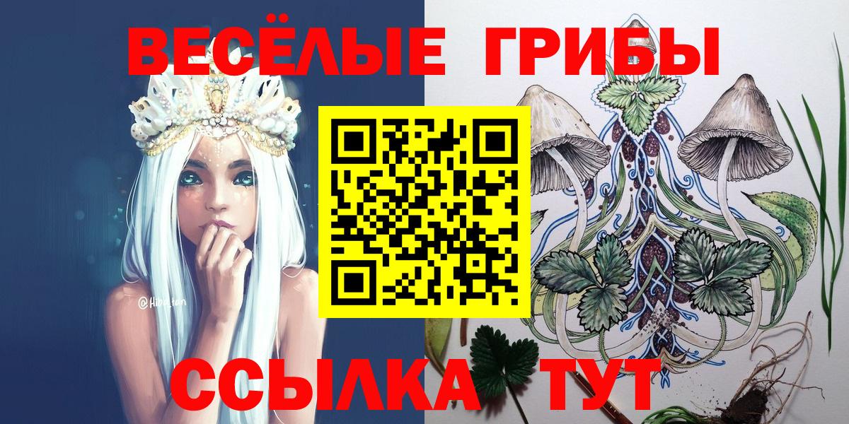 Псилоцибиновые грибы Cubensis  Корсаков 