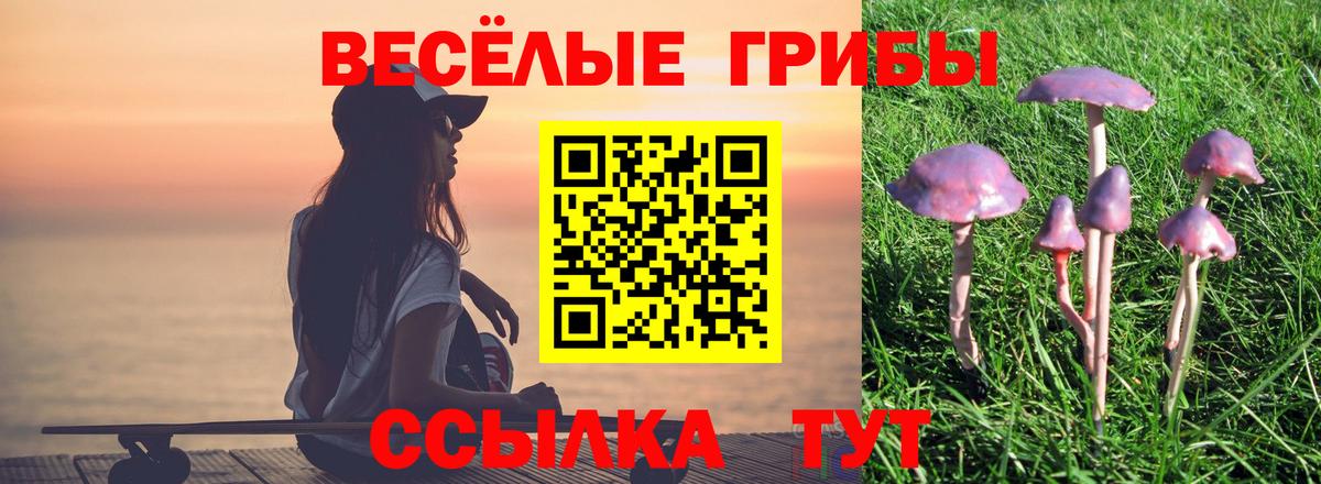 Псилоцибиновые грибы Cubensis Корсаков