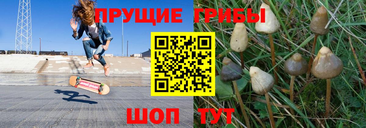 Корсаков  Галлюциногенные грибы мицелий  Галлюциногенные грибы мухоморы  Вход с VPN 
