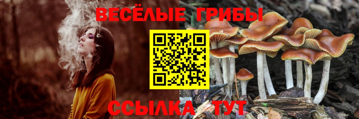 Галлюциногенные грибы мухоморы Корсаков