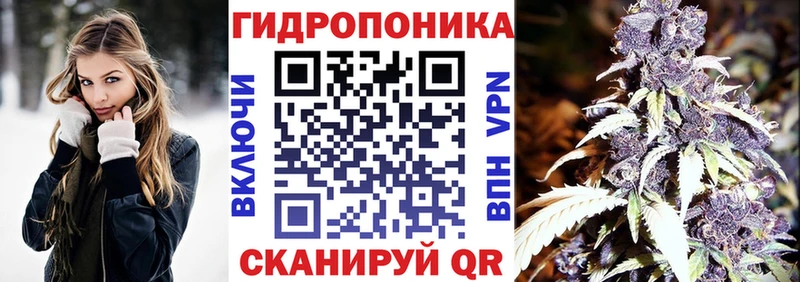 наркотики  Корсаков  Каннабис индика 